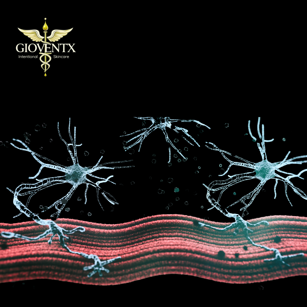 Magnesium effects on Neuromuscular and Neurological Conditions